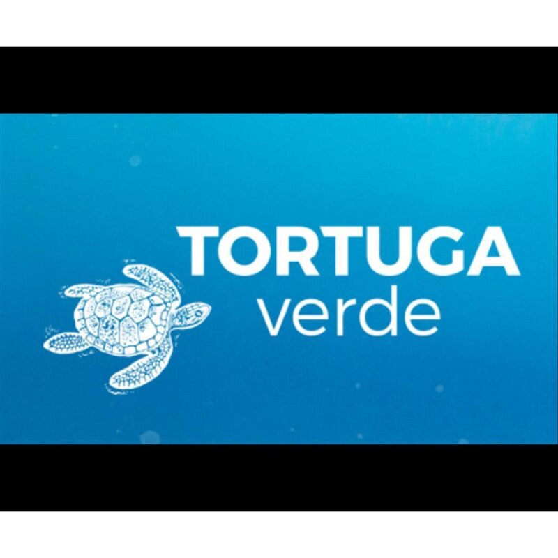 Tortuga Verde