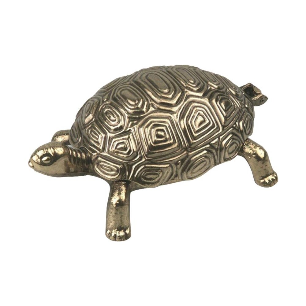 Ascher Metall Schildkröte